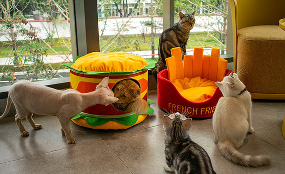 Soft Removable And Washable Hamburger Cat Bed Dot Small Pet Animal Round Donut Calming Small Dog Bed