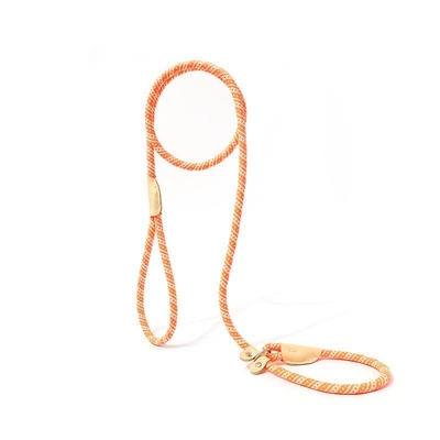 Pets Nylon Sturdy And durable Leash High Quality Traction Rope For Dog And Cat