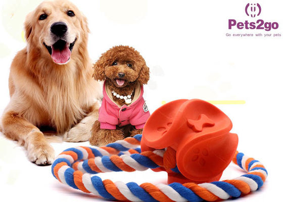Plush Toys Light Up Ball Dogs Chew Laser Pointer Favorite  Taste Good An Animal