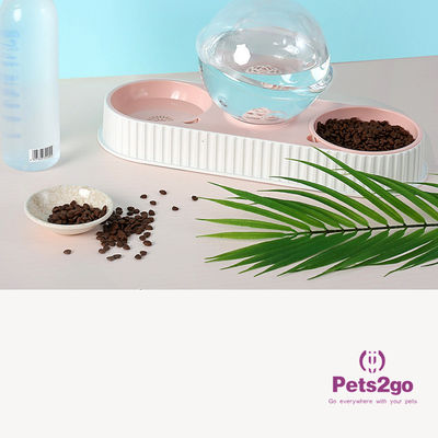 BPA Free Easy Lifting rubber feet Automatic Feeder Bowls