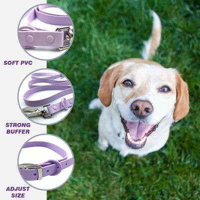 Anti Fouling Waterproof PVC Dog Collar And Leash Set