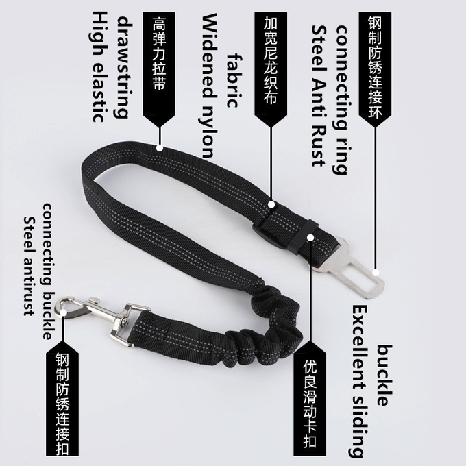 laisse de ceinture de sécurité